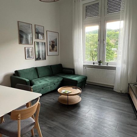 شقة Direkter Moselblick I Altbau I 4 Personen I Terrasse سانكت ديجيوند المظهر الخارجي الصورة