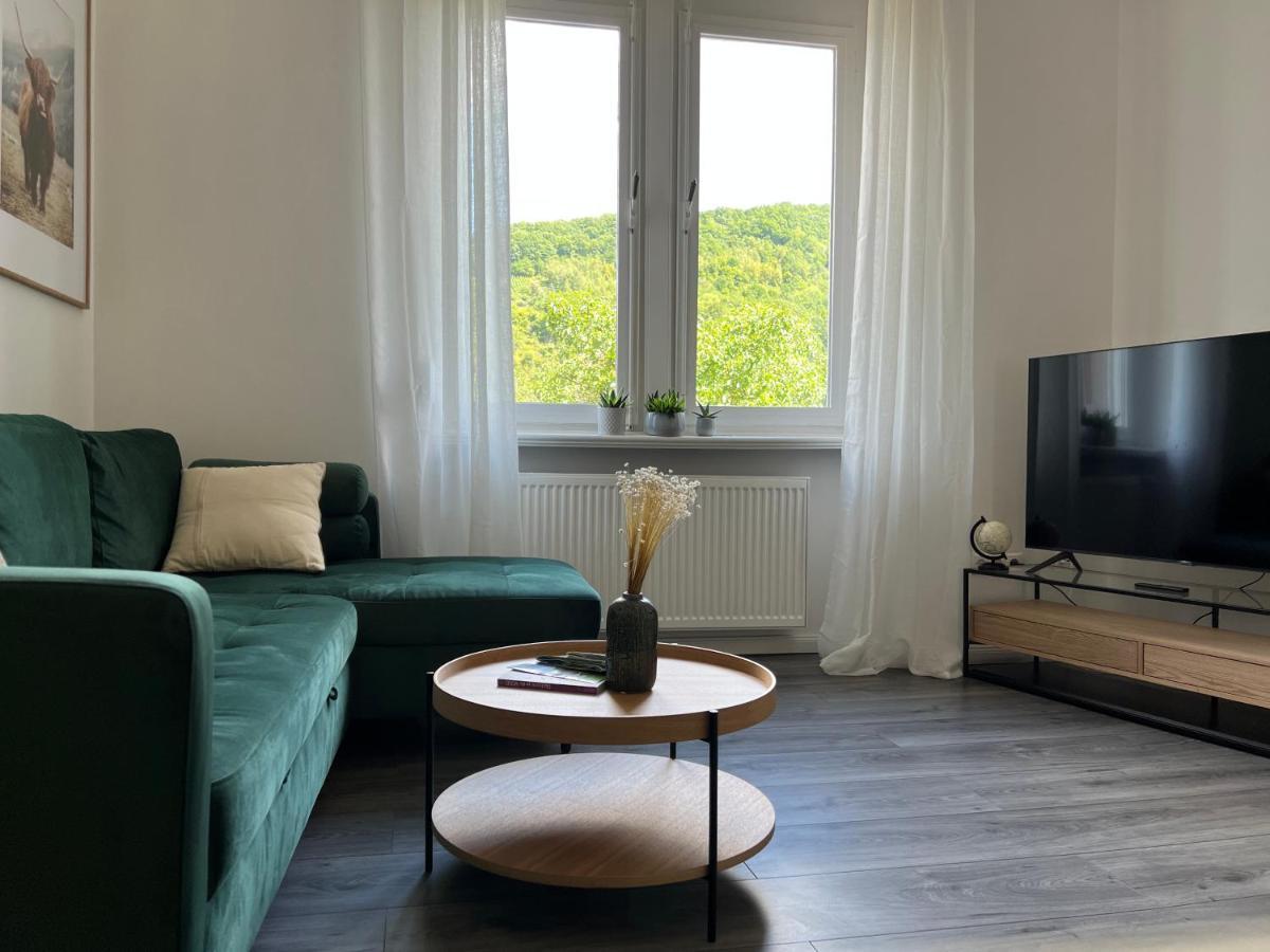 شقة Direkter Moselblick I Altbau I 4 Personen I Terrasse سانكت ديجيوند المظهر الخارجي الصورة